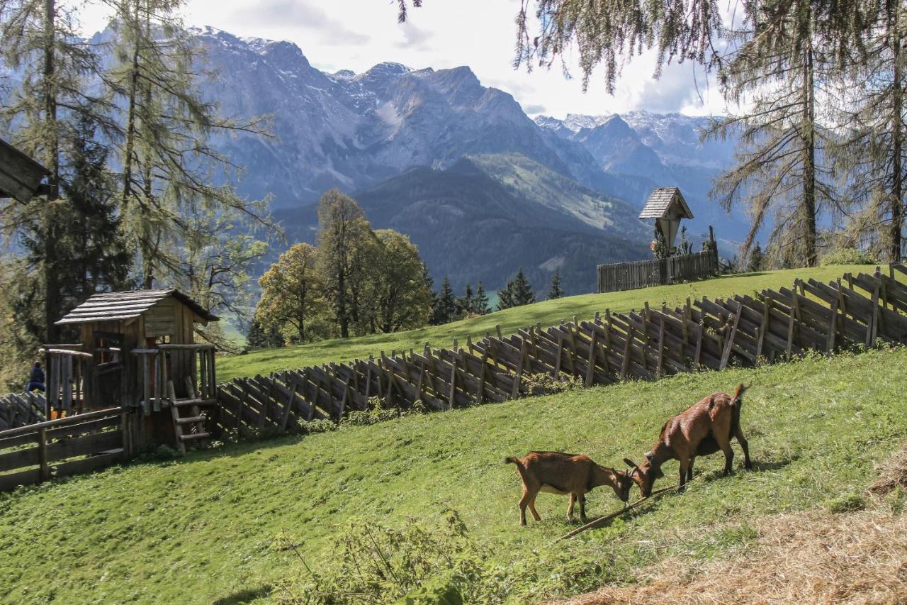 Haus Kathrin Otel Werfenweng Dış mekan fotoğraf